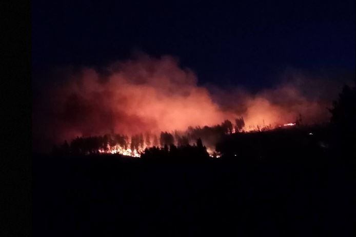 Queimada descontrolada gerou fogo florestal em Guimarães