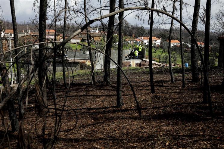 Relatório da Proteção Civil sobre Pedrógão diz que houve documentos apagados