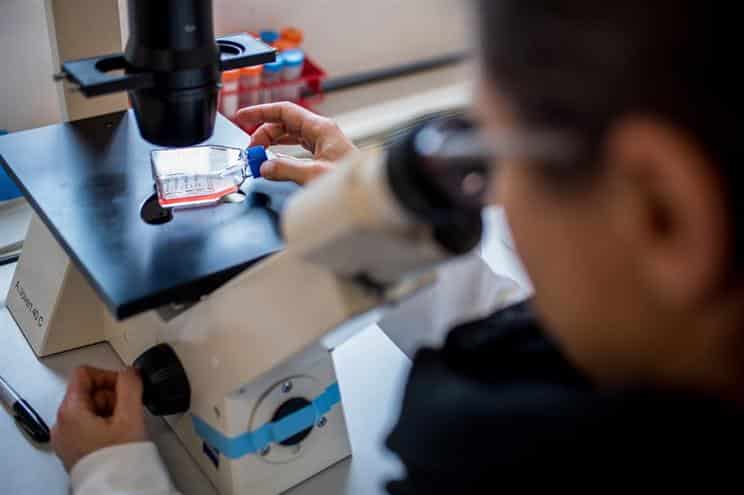 Investigadores descobrem como eliminar células cancerígenas adormecidas