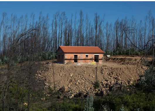 Câmara de Pedrógão diz que casas reconstruídas são de primeira habitação