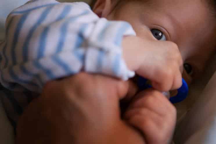 Mais 97 nascimentos até junho