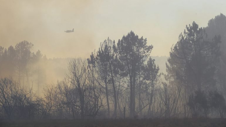 Fogo em Alijó dominado mas ainda preocupa autoridades. Há cinco incêndios ativos em Portugal