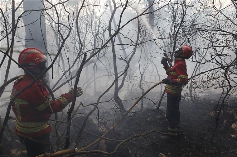 Mensagem de alerta de incêndios demora 12 horas a chegar ao destinatário, garante Vodafone