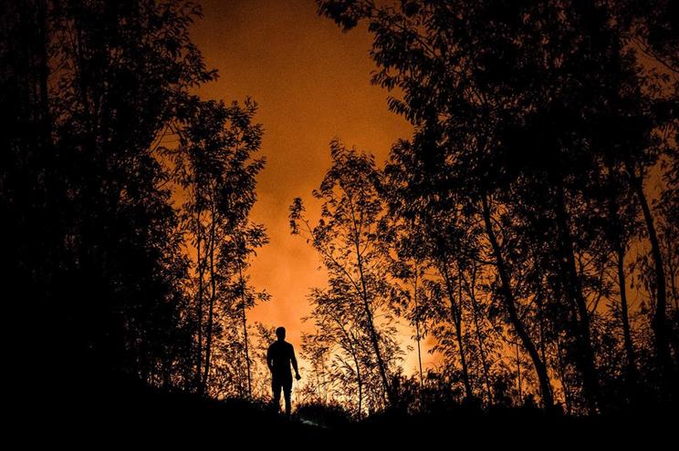Detido suspeito de atear dois incêndios "no espaço de minutos" em Ponte da Barca