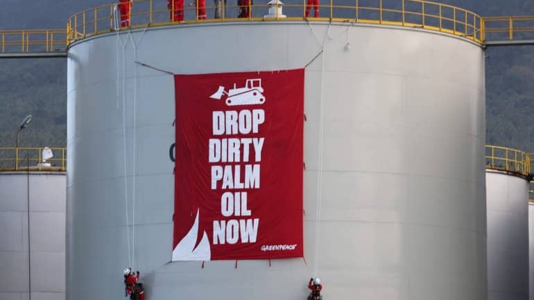 Cidades europeias, incluindo Lisboa, em protesto contra óleo de palma