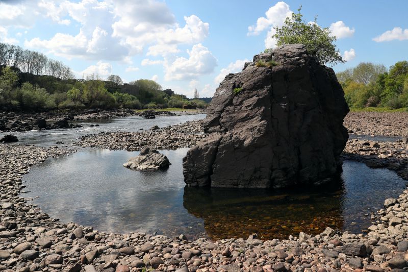Rio Tejo está "por um fio" entre o Alentejo e Ribatejo