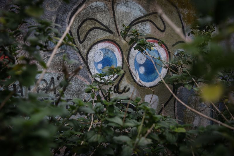 Galeria de Arte Urbana cria parque e rede de muros de pintura livre em Lisboa