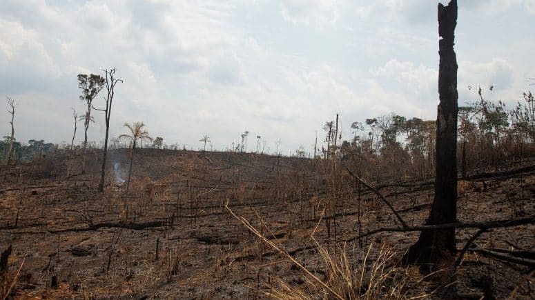 PGR brasileira suspeita de "ação orquestrada" em incêndios na Amazónia
