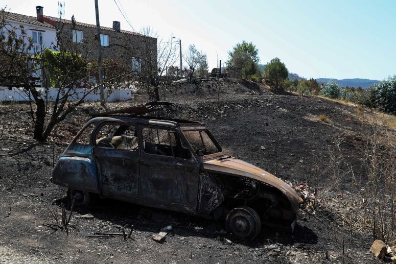 Governo reconhece como catastrófe natural fogos de Vila de Rei e Mação