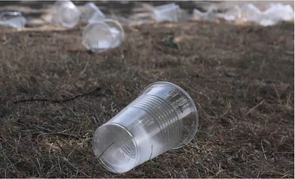 Comerciantes de Lisboa têm três meses para deixarem de servir copos descartáveis na rua