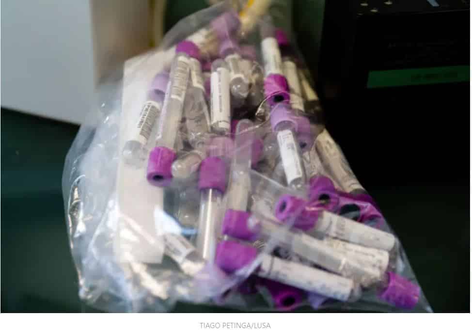 Covid-19: Investigação holandesa identifica anticorpo capaz de travar infeção