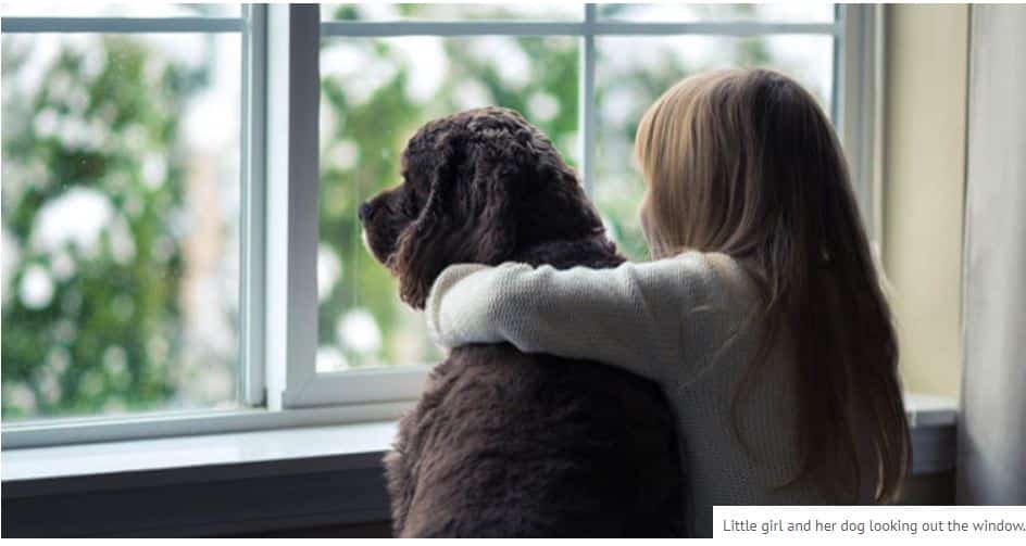 Depois da vaga de calor, vem aí nevoeiro e chuva para a próxima semana