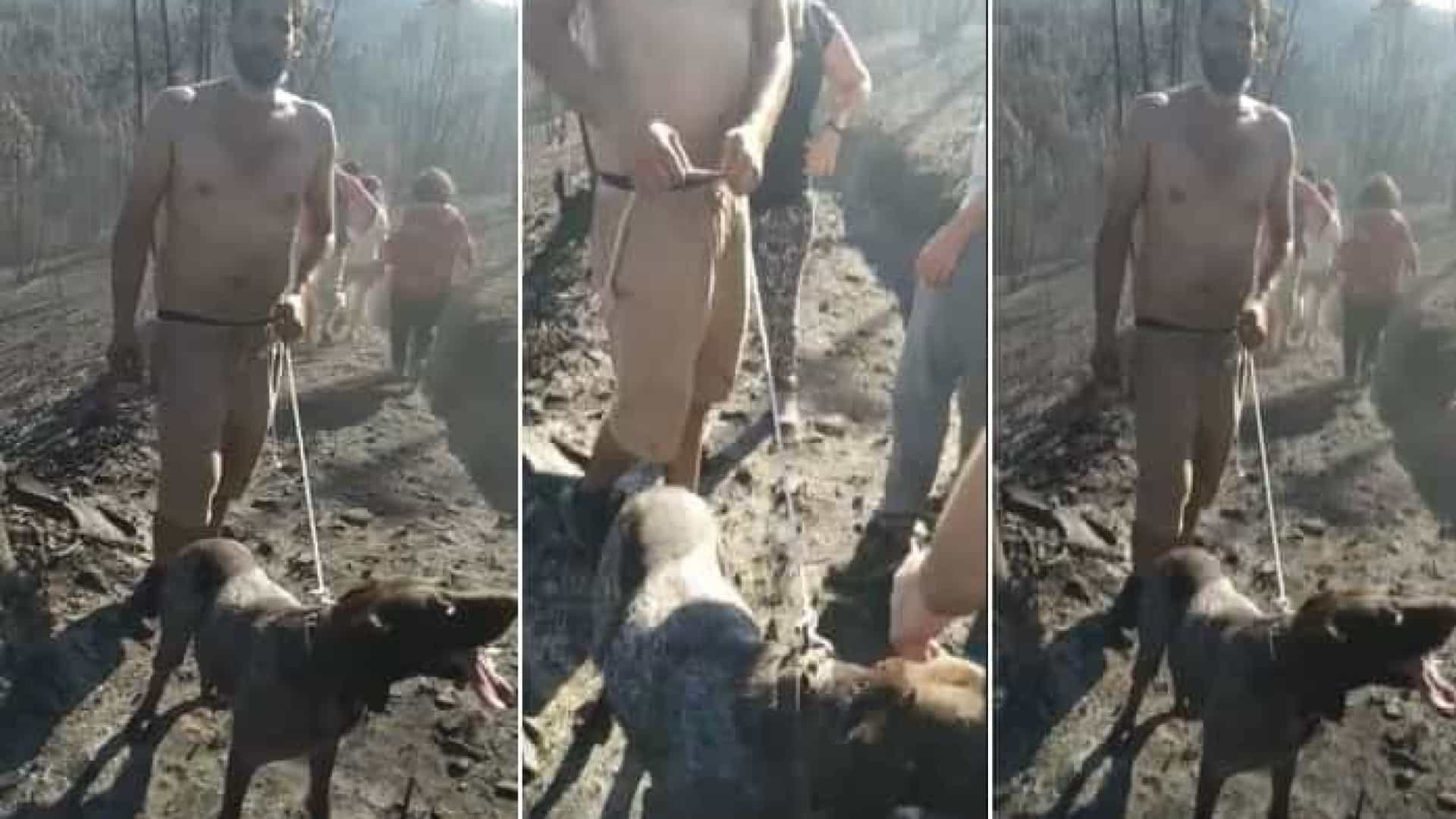 No meio da tragédia, um final feliz. Homem encontra cão perdido há 2 anos