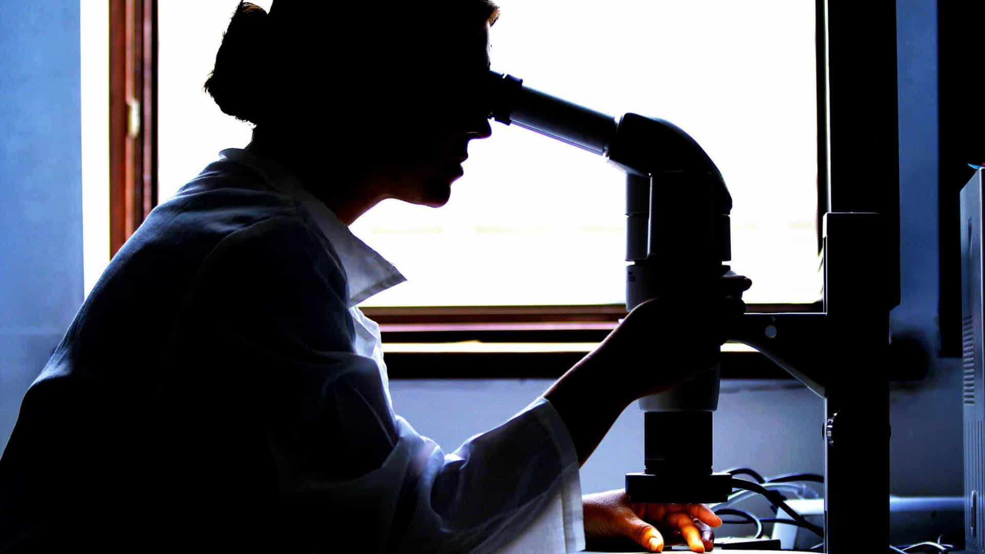 Cientistas detetam microplásticos em tecidos humanos