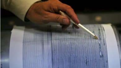 sismo registado no Faial