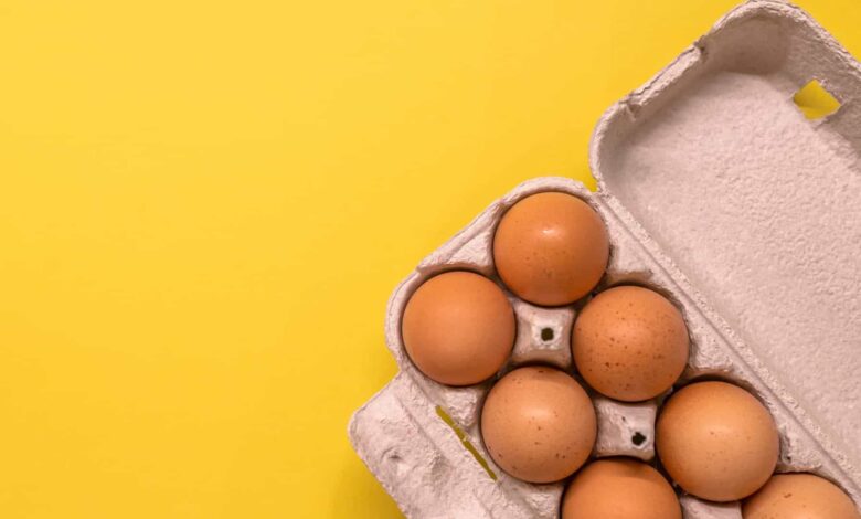 Para evitar desastres na cozinha, faça o teste do copo com água. Um ovo está fresco se permanecer no fundo do recipiente ao imergi-lo em água.